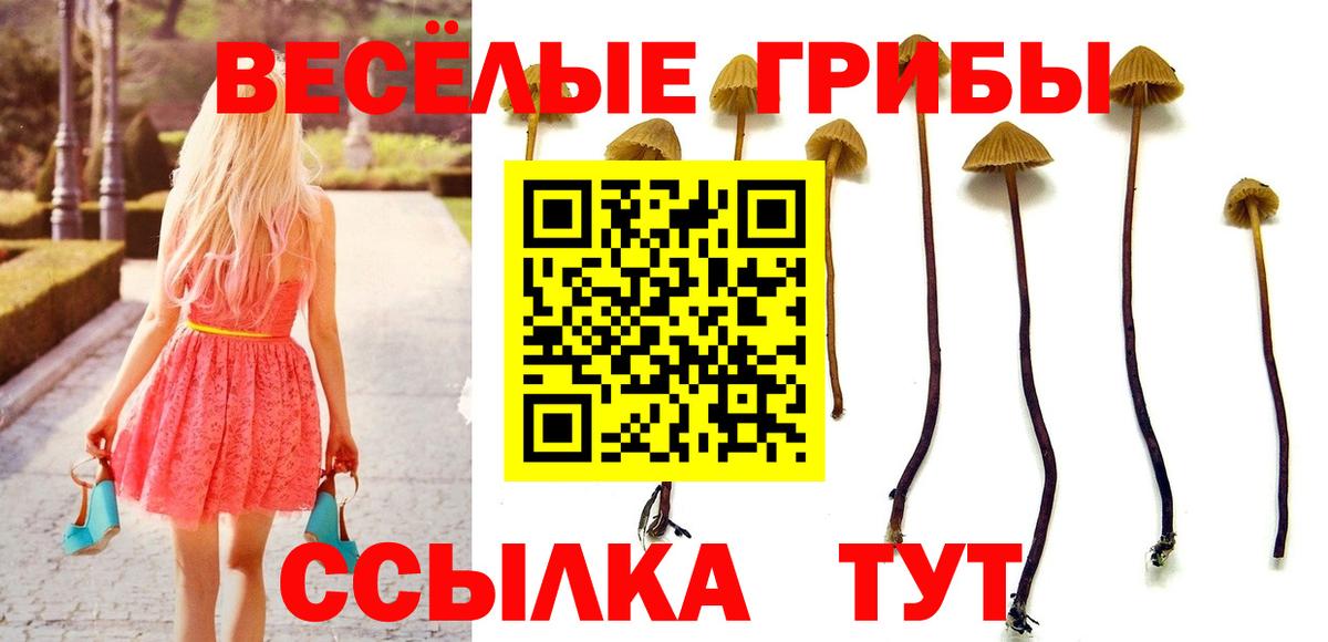 Псилоцибиновые грибы мухоморы Чусовой